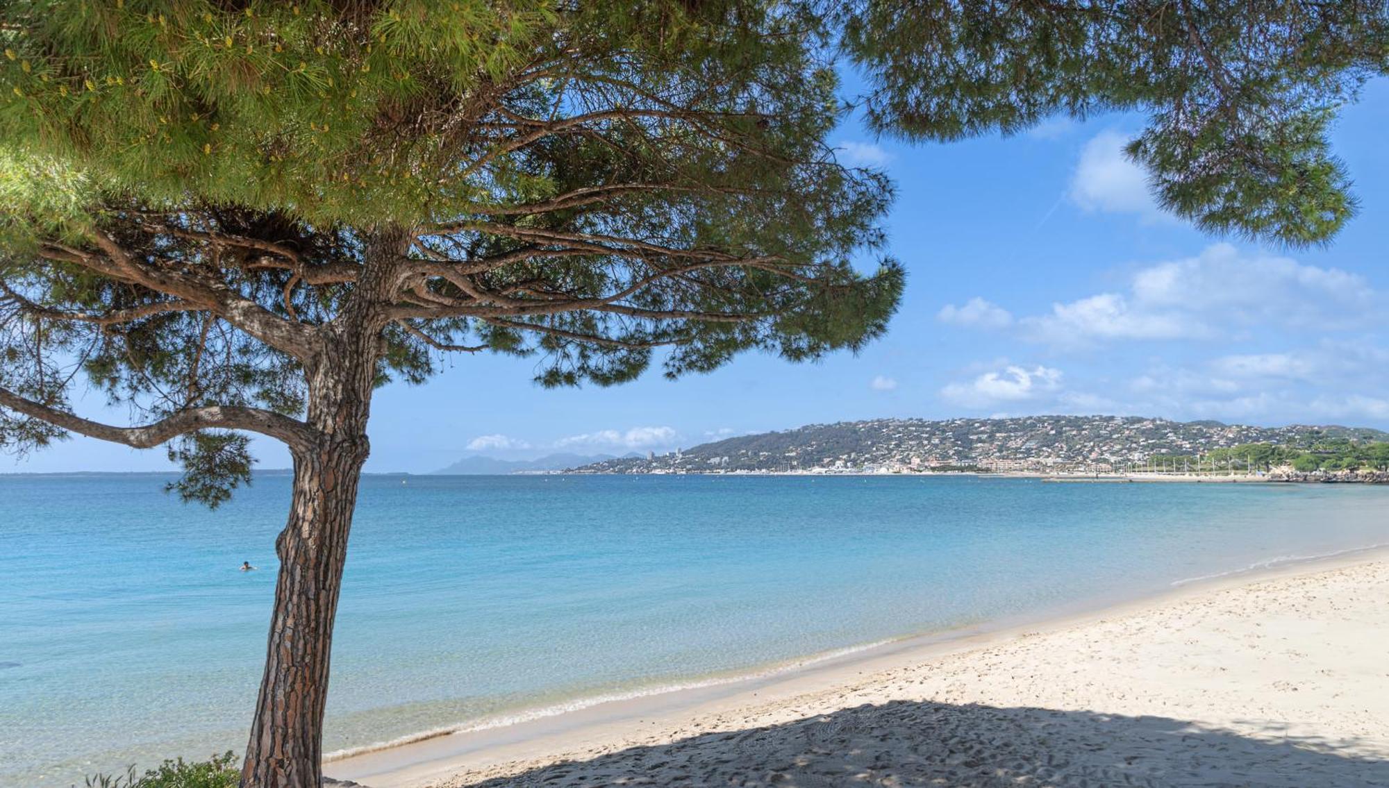 Les 15 Pins & La Mer -Your Green Getaway Near Sea & Beach Antibes Zewnętrze zdjęcie