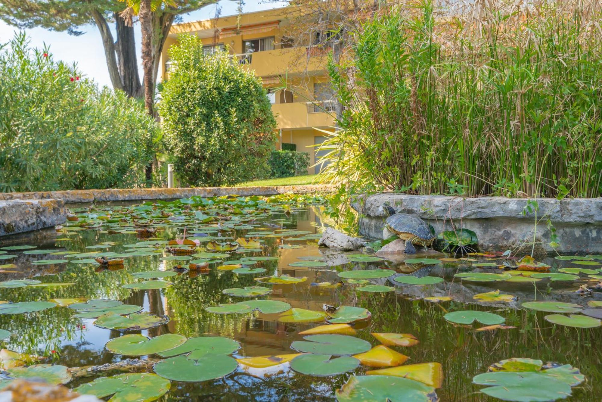 Les 15 Pins & La Mer -Your Green Getaway Near Sea & Beach Antibes Zewnętrze zdjęcie
