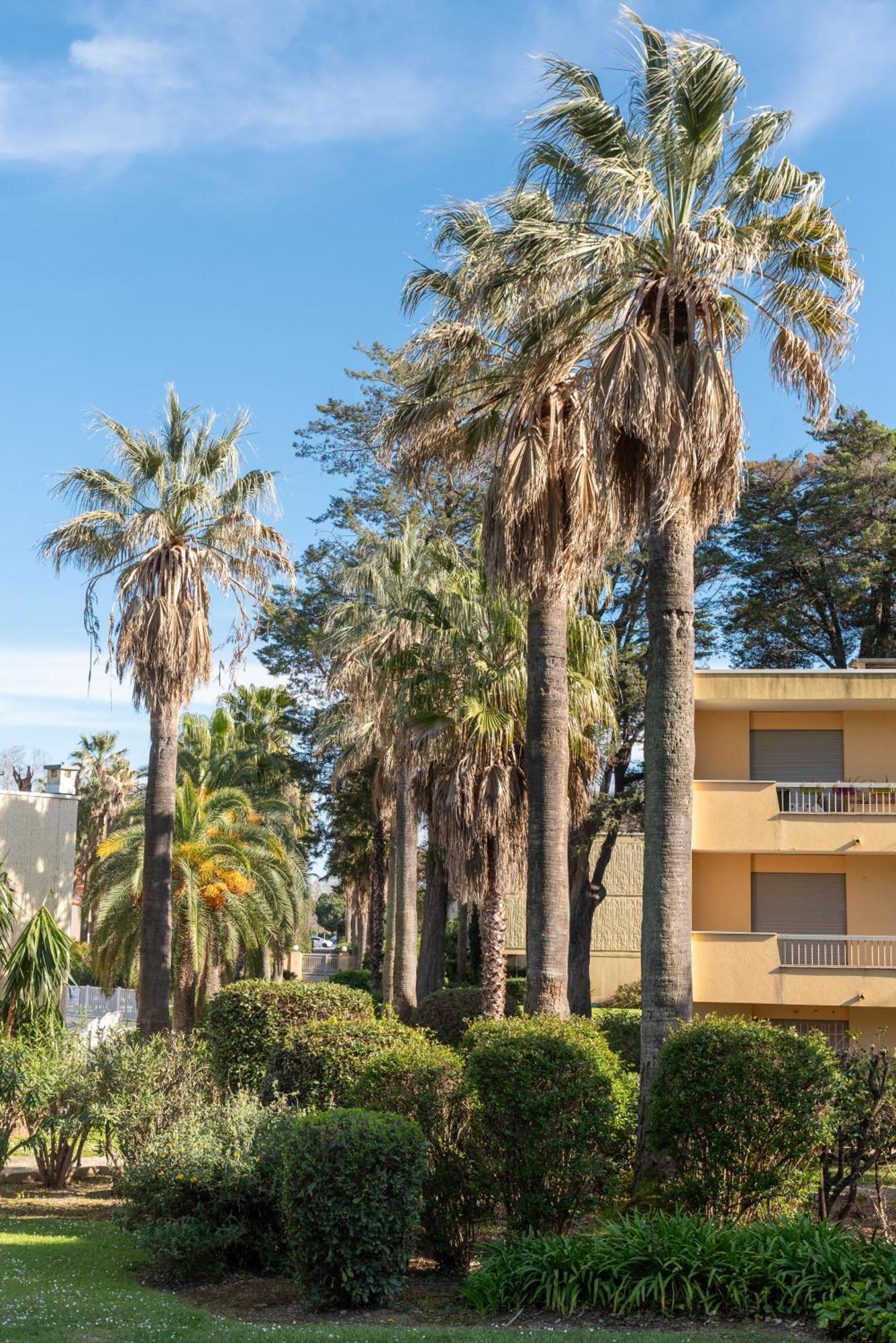 Les 15 Pins & La Mer -Your Green Getaway Near Sea & Beach Antibes Zewnętrze zdjęcie